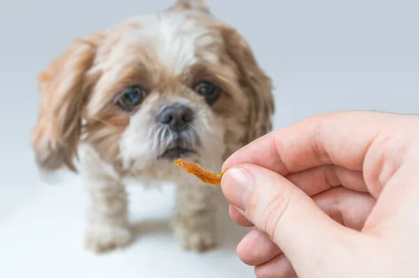 What are the Best Dog Treats for Sensitive Stomachs?