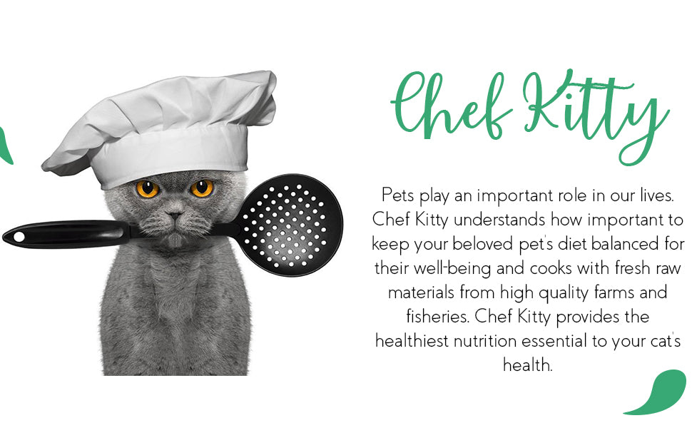 Chef kitten outlet food