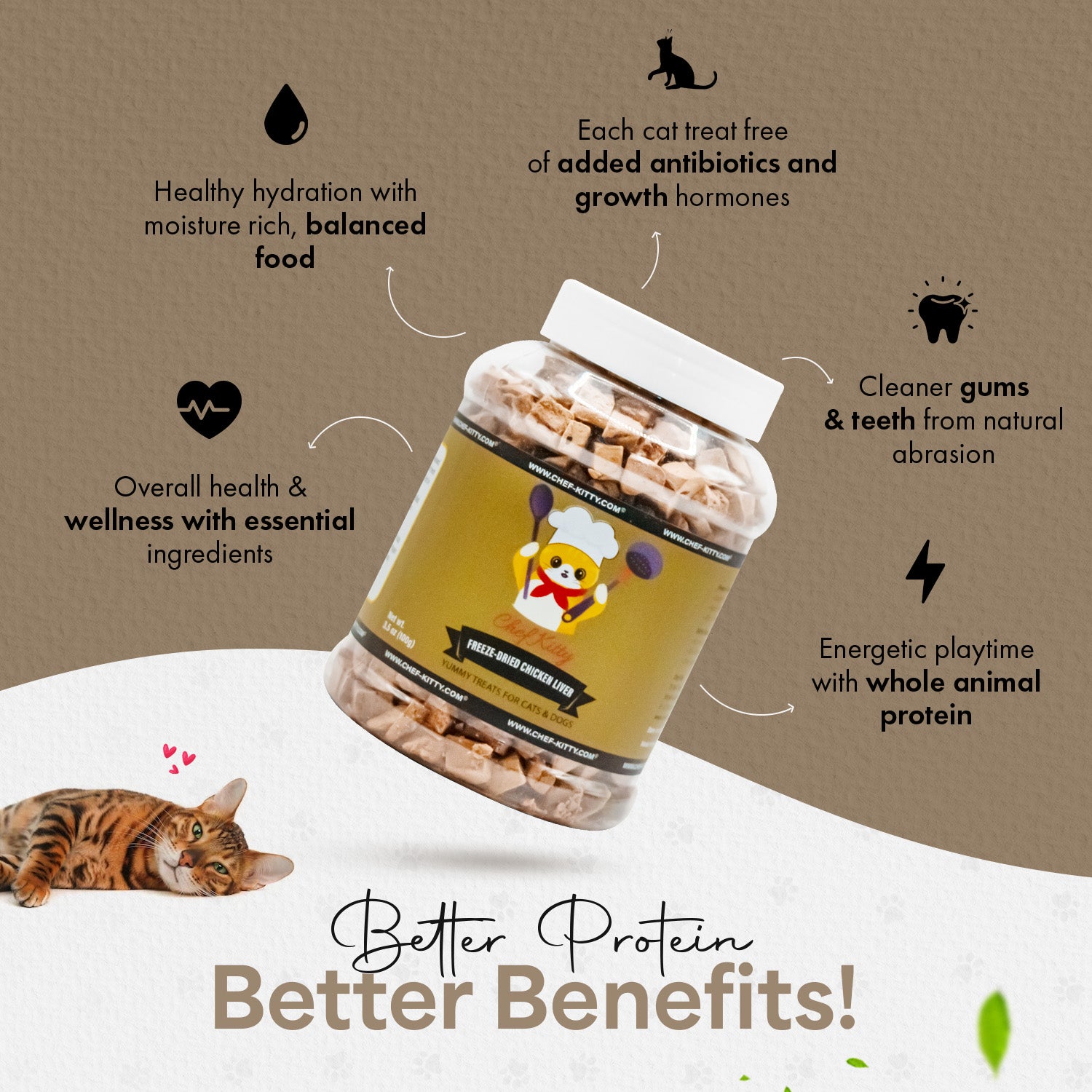 Delicious Chicken Liver Cat Treats Freeze Dried Liver for Cats