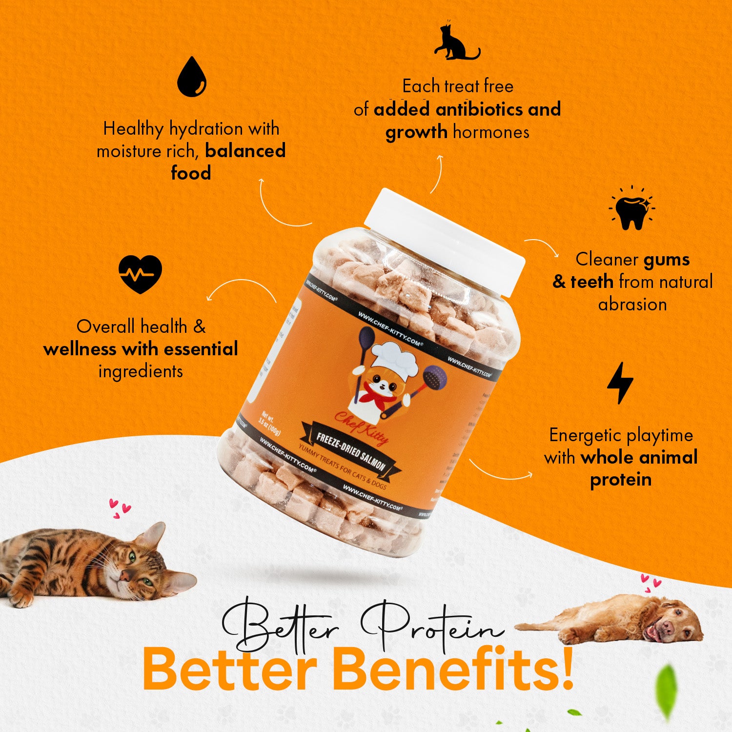 Freeze Dried Salmon Cat & Dog Treats - Made from 100% Wild Caught Salmon - Only 1 Ingredient - Healthy, Tasty, Dry Food for Indoor Cats, Kittens, Dogs - Inspected & Tested in the USA - Salmon (1.75oz-5.3oz)