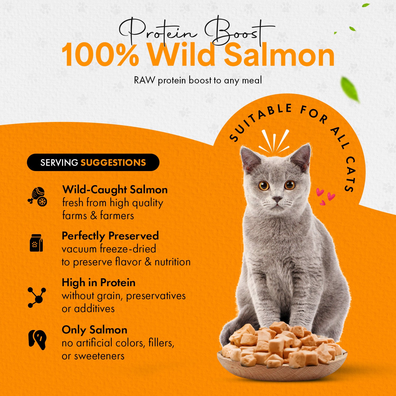 Is salmon outlet good for cats