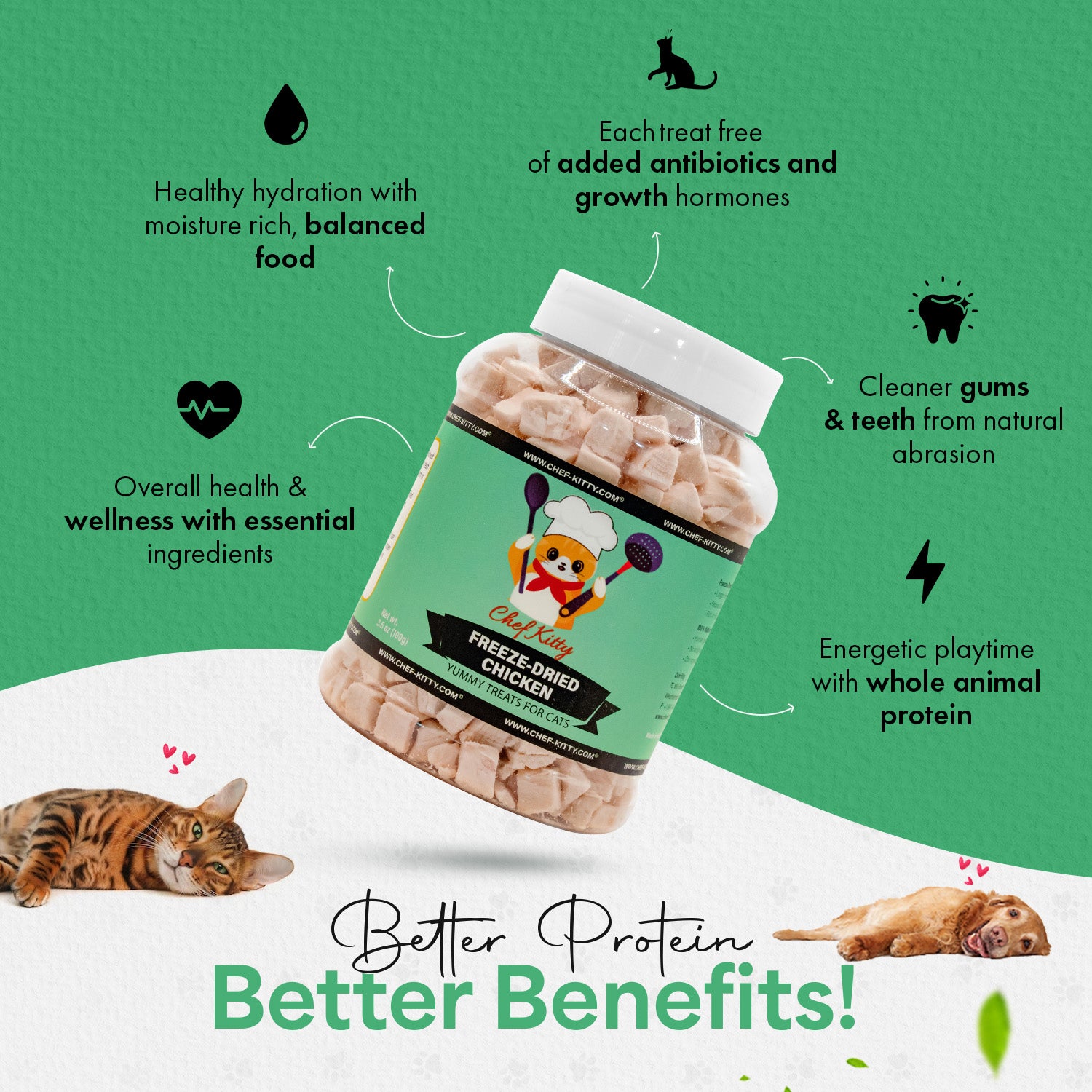 Freeze Dried Chicken Cat & Dog Treats - Made from 100% Human Grade Chicken Breast - Only 1 Ingredient - Healthy, Tasty, Dry Food for Indoor Cats, Kittens, Dogs - Inspected & Tested in the USA - (1.75oz-7.7oz)